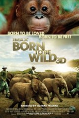 born to be wild 3d